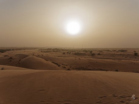 PA310486_DxO Mauritanie 2019 - Train du désert