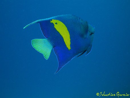 P3211746